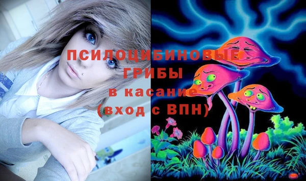 а пвп мука Абаза