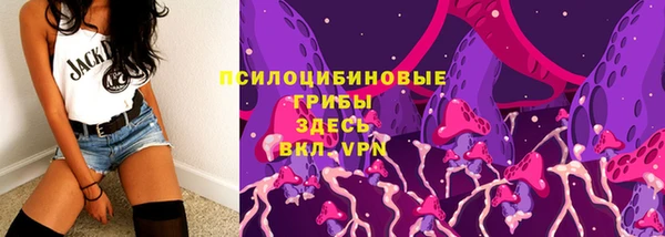 а пвп мука Абаза